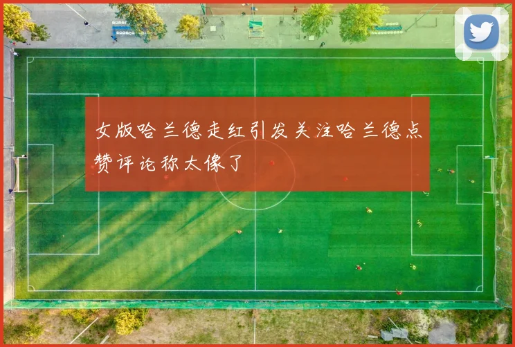女版哈兰德走红引发关注哈兰德点赞评论称太像了